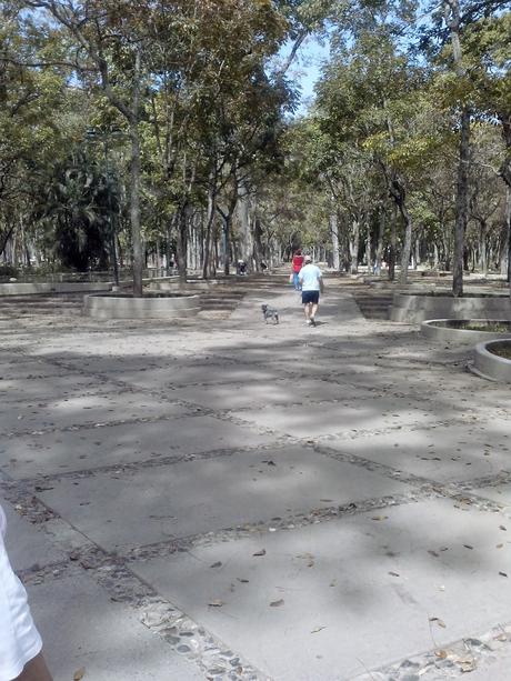 EL RECREO - Hay que mejorar el Parque Los Caobos