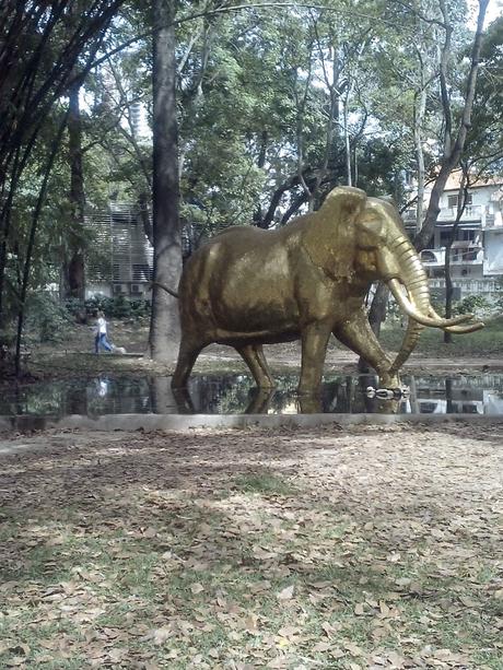 EL RECREO - Hay que mejorar el Parque Los Caobos