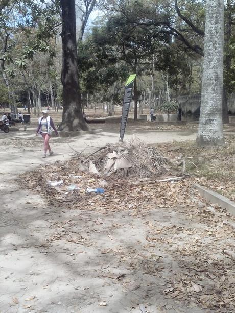 EL RECREO - Hay que mejorar el Parque Los Caobos