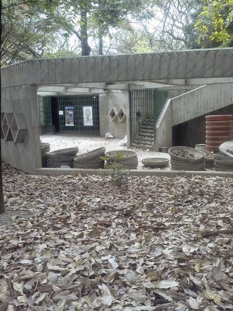 EL RECREO - Hay que mejorar el Parque Los Caobos