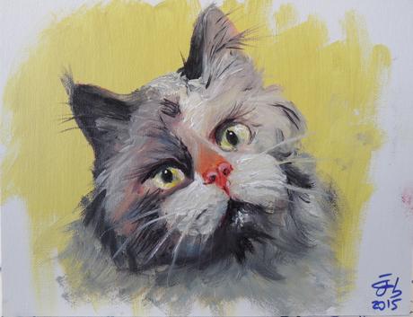 Retrato de gato / Kitten's portrait