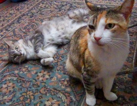 My week in photos #1