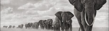 Temporada de liderazgo