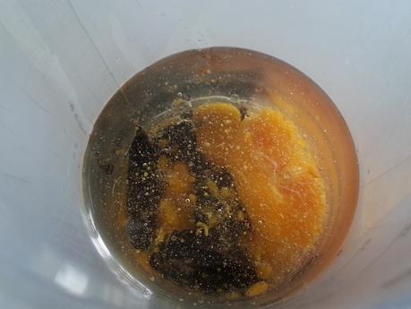 SALSA DE AJO NEGRO: AJONESA O ALIOLI DE AJO NEGRO