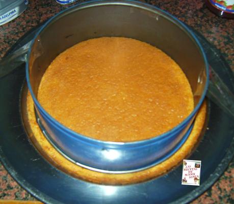 TARTA PETIT SUISSE DE FRESA  CON YOGUR GRIEGO CON THERMOMIX