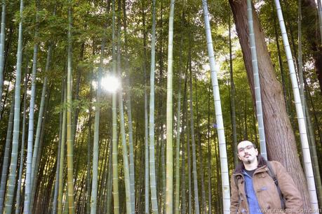 IBARAKI y el parque Kairakuen 偕楽園