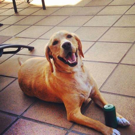 Violencia por los huesos