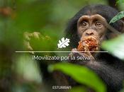 ¡Movilízate selva!