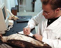 Tras las huellas de la fauna iberica. Victor J. Hernández - Eduardo Rodríguez