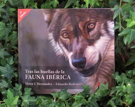 Tras las huellas de la fauna iberica. Victor J. Hernández - Eduardo Rodríguez