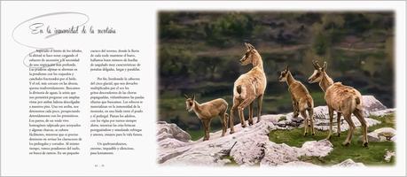 Tras las huellas de la fauna iberica. Victor J. Hernández - Eduardo Rodríguez