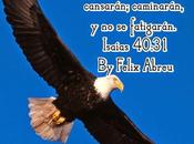 Arma mortal