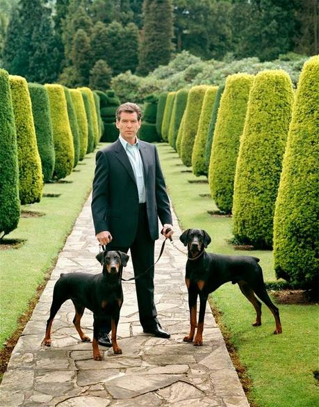 Capítulo 8: Llegan refuerzos