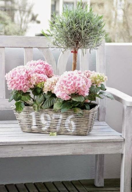PLANTAS DE INTERIOR Y OTRAS: DECORAR CON HORTENSIAS