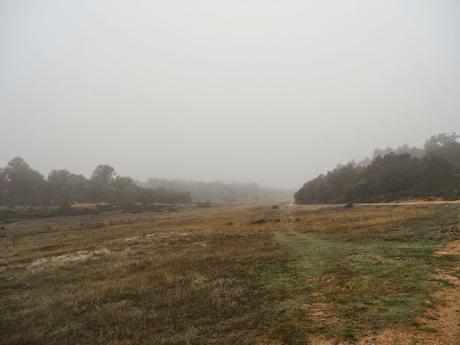 El tiempo en Almadén