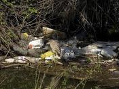 ¿Sirve para algo limpiar ríos?