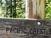 polaroids pacific crest trail