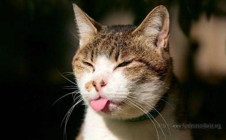 Sobre eventos,ojos,legiones,clones y peras