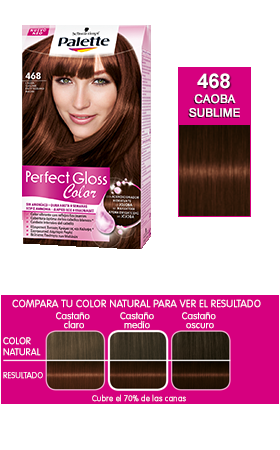 Sorteo Express Palette Perfect Gloss Color - Testamus con 5 ganadoras.