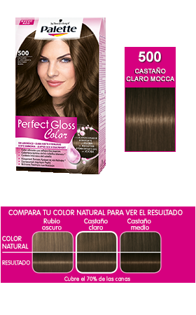 Sorteo Express Palette Perfect Gloss Color - Testamus con 5 ganadoras.