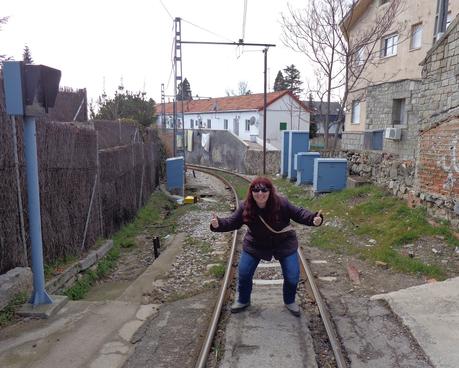 CERCEDILLA      Y      LAS      DEHESAS