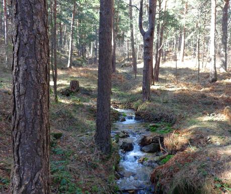 CERCEDILLA      Y      LAS      DEHESAS