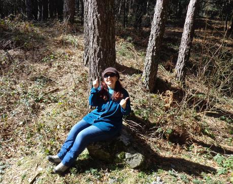 CERCEDILLA      Y      LAS      DEHESAS