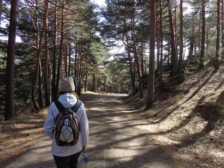 CERCEDILLA      Y      LAS      DEHESAS
