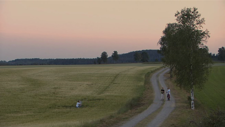 De Ofrivilliga - 2008
