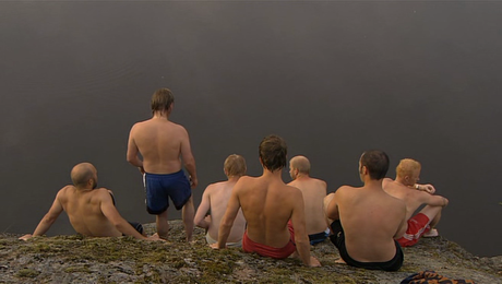 De Ofrivilliga - 2008