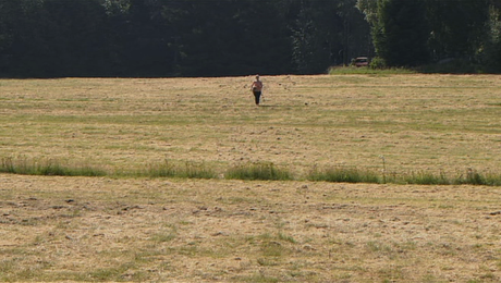 De Ofrivilliga - 2008