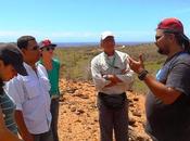 Provita muestra avances programa conservación cotorras margariteñas