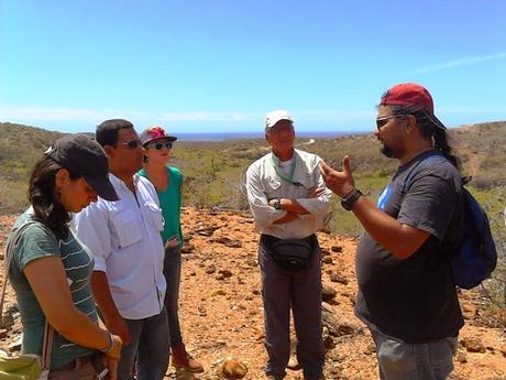 Provita muestra avances del programa de conservación de cotorras margariteñas