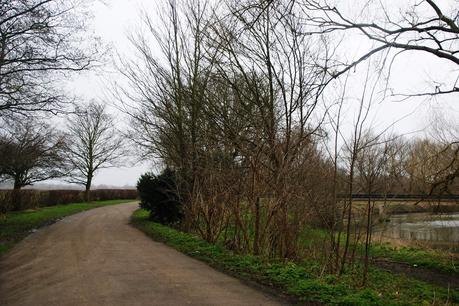 CCXLII Hackney Marshes Parkrun