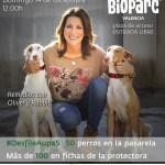 Redes sociales, @Bioparc y @AUPA_: #DesfileAUPA5