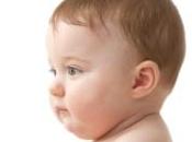 publica nuevo libro: Vacunas, justas ¿Son todas necesarias, efectivas seguras?