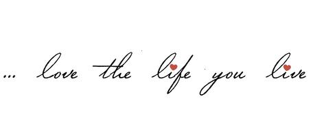 Live the life you love...