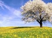 Suddenly, it`s spring. repente primavera)