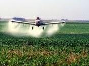 Avioneta estrella noroeste Pico Duarte; buscan piloto