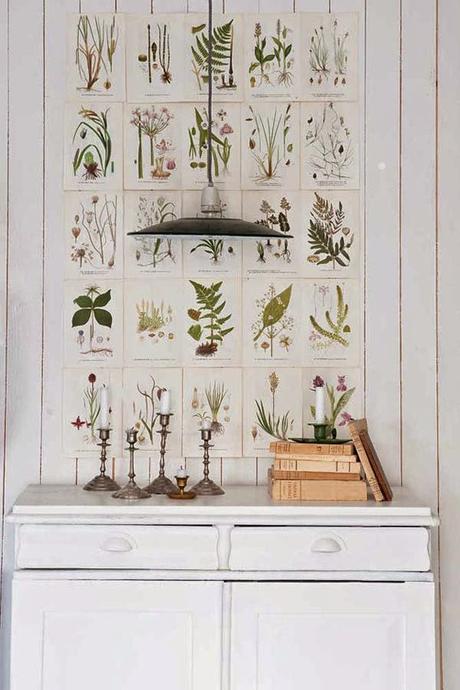 Botanical Decorations