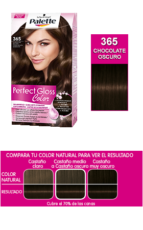 Sorteo Tinte Palette Perfect Gloss Color chocolate oscuro