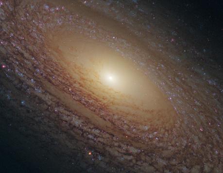 NGC 2841 una galaxia sin formación estelar