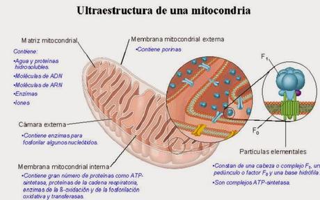 TERTULIA SOBRE UN TEMA DE ACTUALIDAD