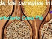 Beneficios cereales integrales