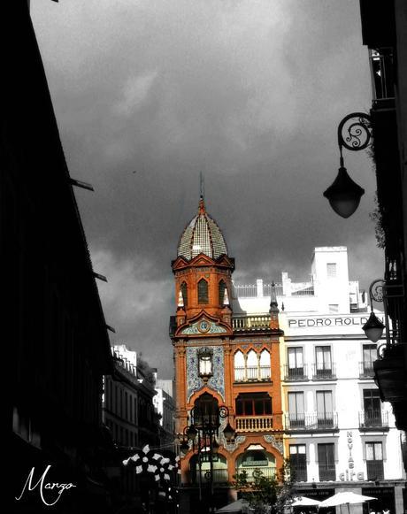 12+3= 15 Marzo .Fotografía