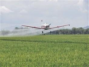 Muere piloto avioneta cayó en Loma Rucillo.