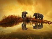 MARZO;Medio Ambiente Mundial Naturaleza