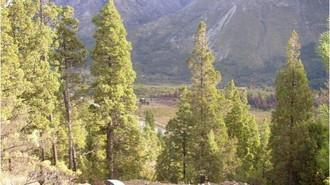 Que se apruebe la ley que impida la venta de tierras afectadas por el fuego en la Patagonia