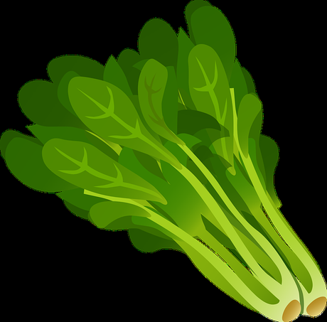 Alimentos ricos en hierro que cuidan la salud