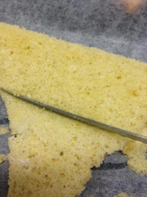 PASTEL MIMOSA!